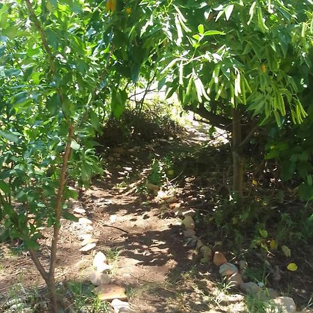 Bethany Farm Twee Riviere ภายนอก รูปภาพ