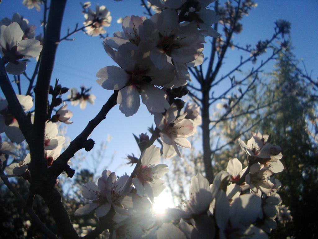 Bethany Farm Twee Riviere ภายนอก รูปภาพ