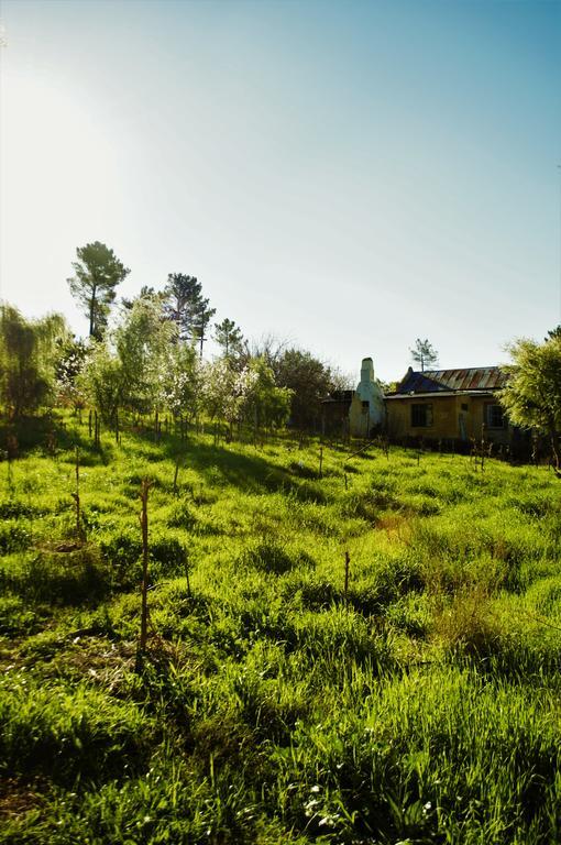 Bethany Farm Twee Riviere ภายนอก รูปภาพ