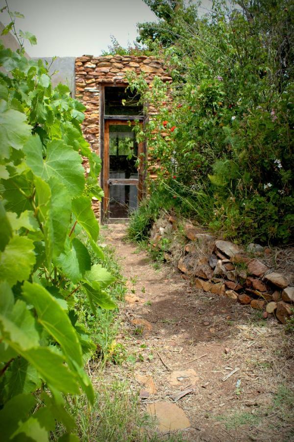 Bethany Farm Twee Riviere ภายนอก รูปภาพ
